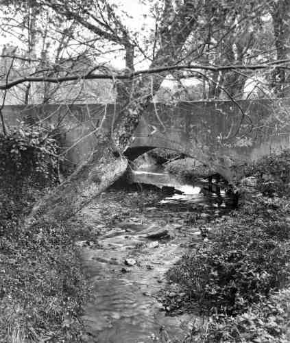 40-783 (click for large image)