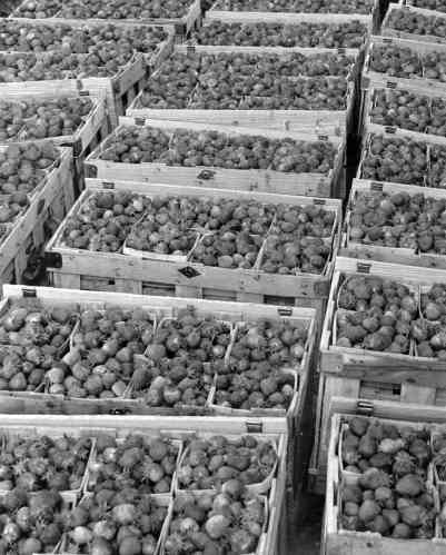 42-107 (click for large image)