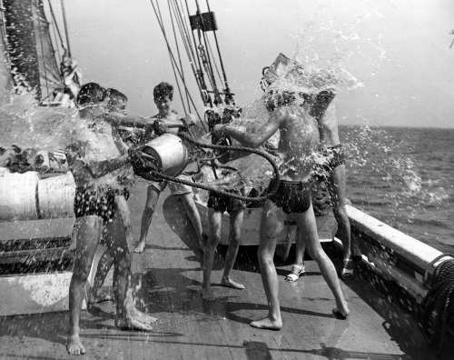 42-953 (click for large image)